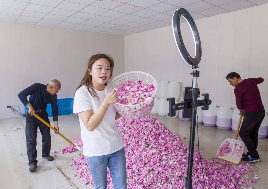 ?????: 617 ????? ?????? ?????? ???? ???? ?????? ?? ????? 2020