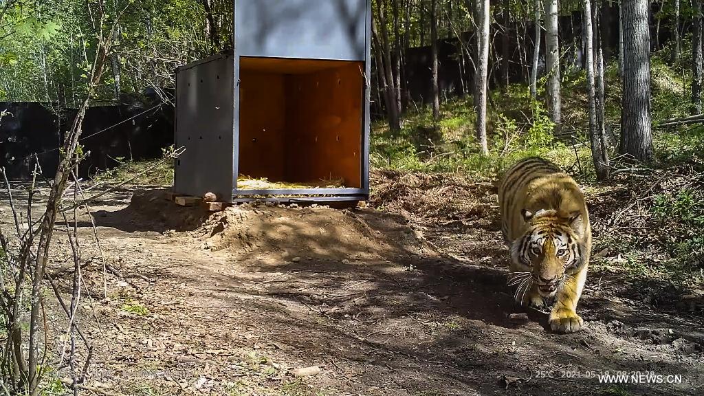 ????? ???? ?? ????? ??? ?????? ??? ??????? ???? ???