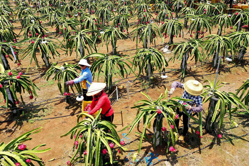 ??? ??? ???? ????? ??????!