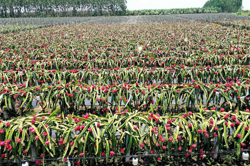 ??? ??? ???? ????? ??????!