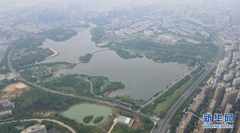 ???? ?????? .. ???? ???? ??????? ??? ??? ???