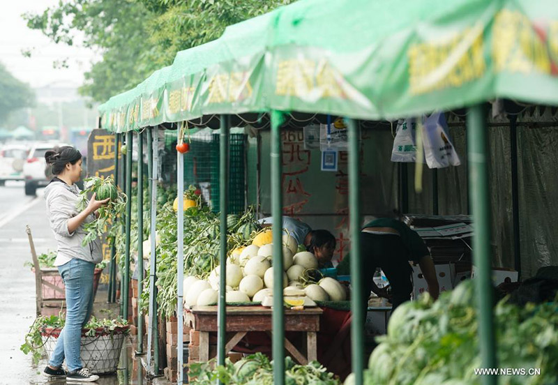 ?????? ?????? ???? ?? ????? ?????? ??????? ???????