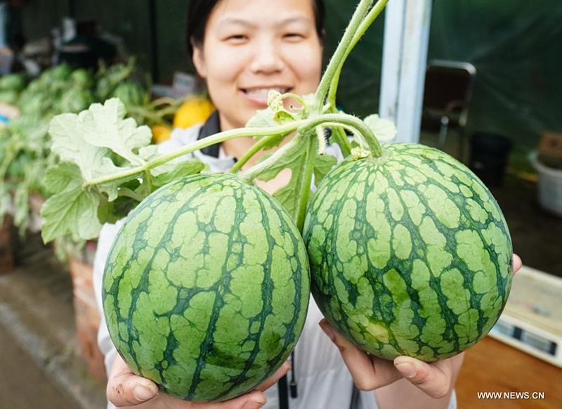 ?????? ?????? ???? ?? ????? ?????? ??????? ???????