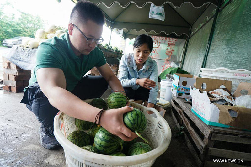 ?????? ?????? ???? ?? ????? ?????? ??????? ???????