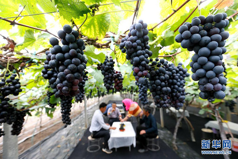 ????? ????? ???? ?? ????? ??? ????????