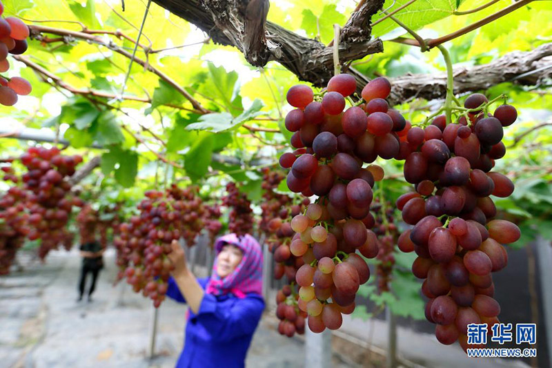 ????? ????? ???? ?? ????? ??? ????????