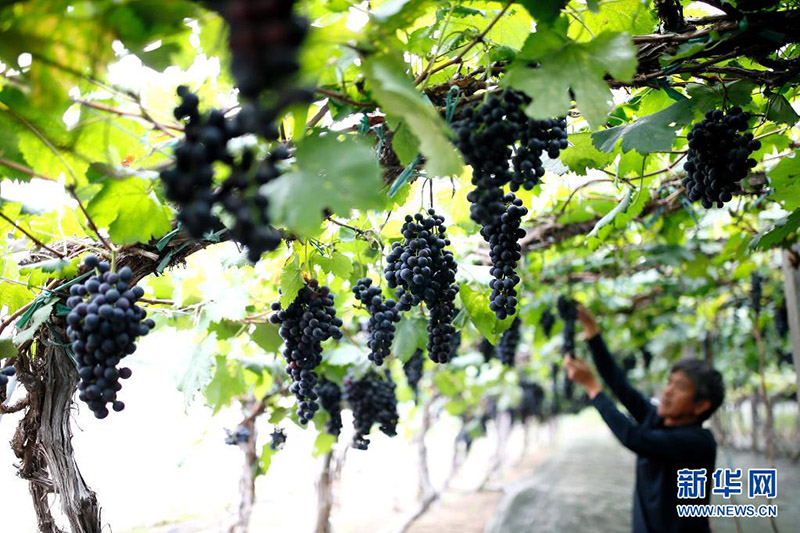 ????? ????? ???? ?? ????? ??? ????????