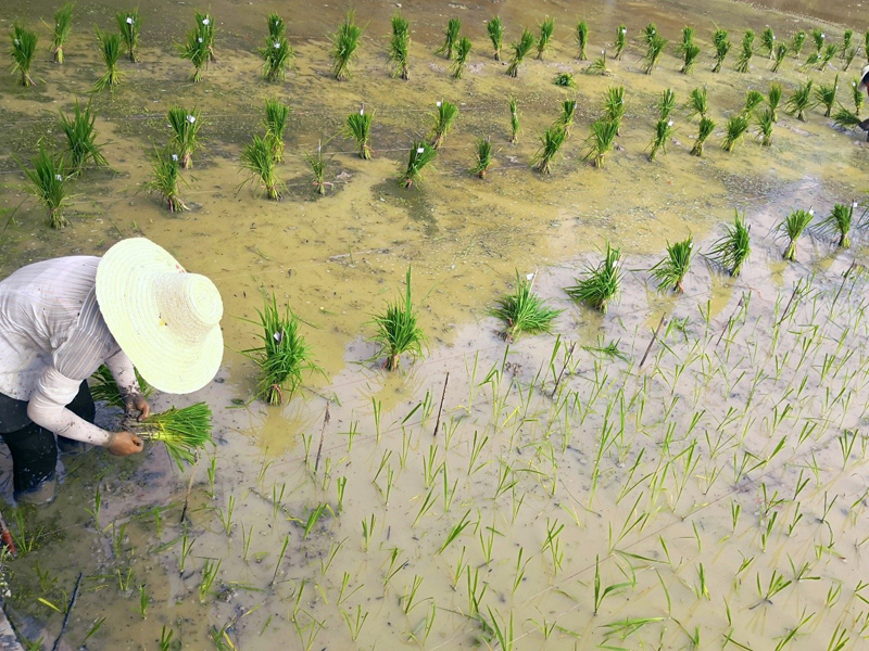 ?????: ????? ?? ???? ???? ????! ?????? ?? ???? ???????? ?? ???? ????? ??????