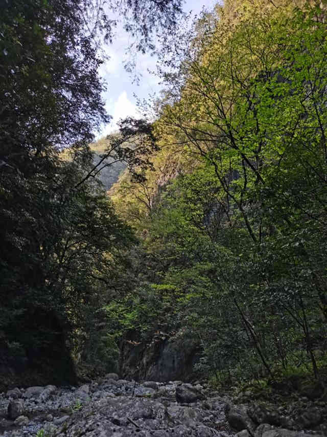 ??????????: ?????? ???? 