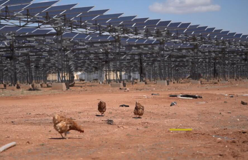 ????? ????? ??????? ?????? ?? ????? ??????? —— ??????? ???????