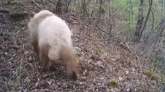 ??? ????? ?????? ???? ????? ?? ?????? ???? ????? ???? ?????