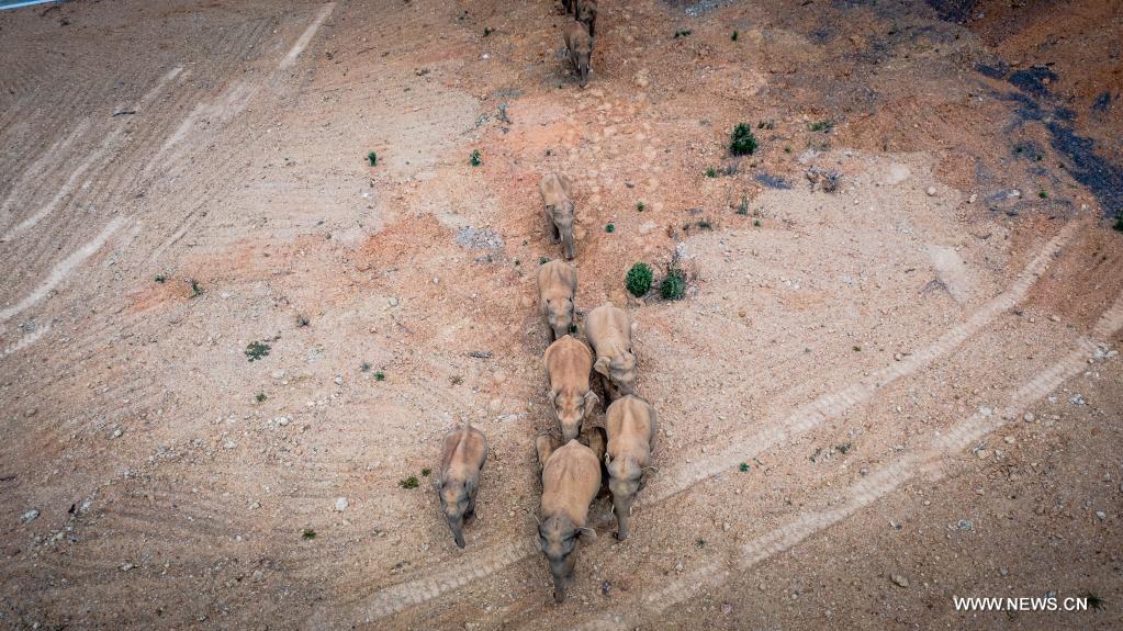 ????? ?????? ???? ????? ???? ????? ????? ??? ??????