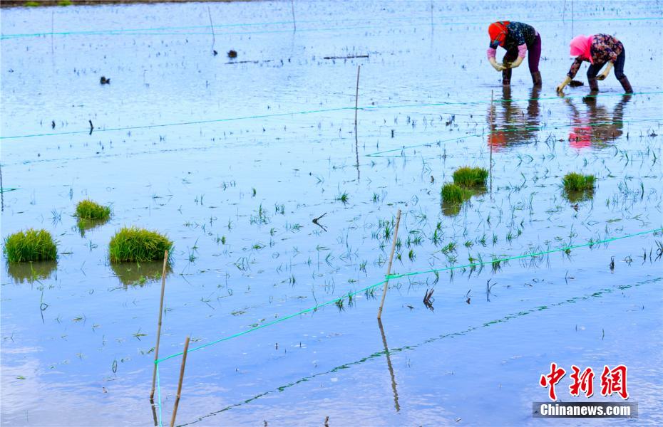 ?????: ??????? ???????? ??????? ????? ????? ?? ????? ???? ???? ?????