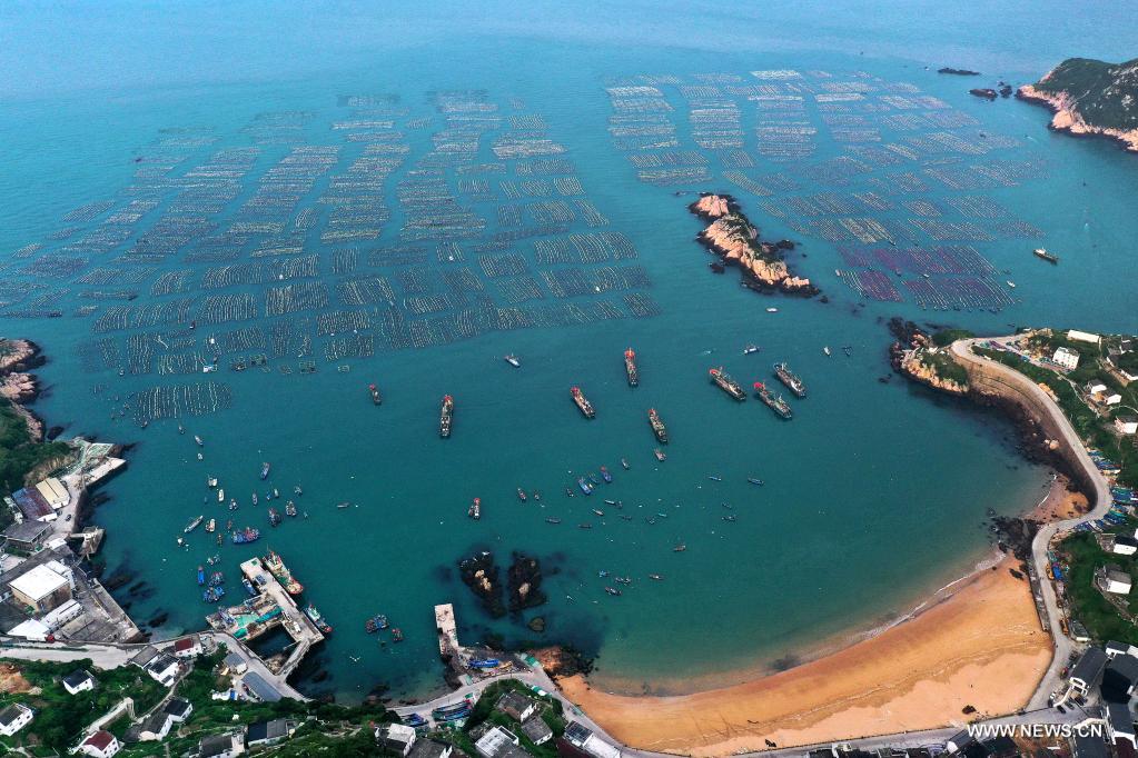 ????? ?????? ??? ????? ????? ?????