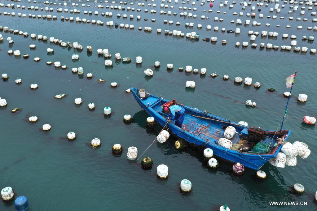 ????? ?????? ??? ????? ????? ?????