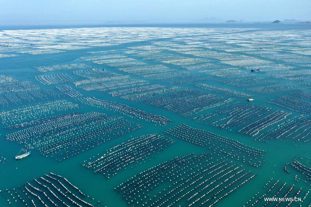 ????? ?????? ??? ????? ????? ?????