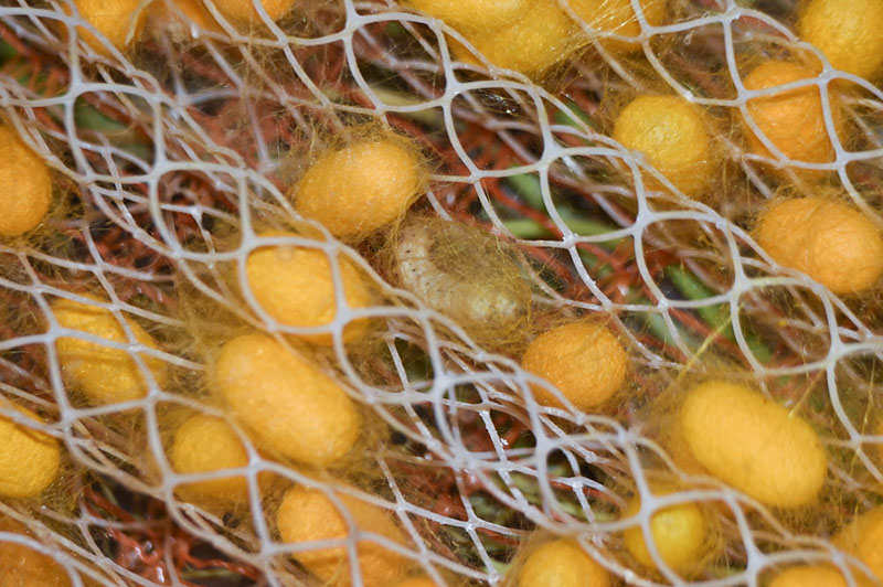 ?????????? ?????? ??????? : ???? ???? ???????? ???? ?????? ??????? ?????? ??????