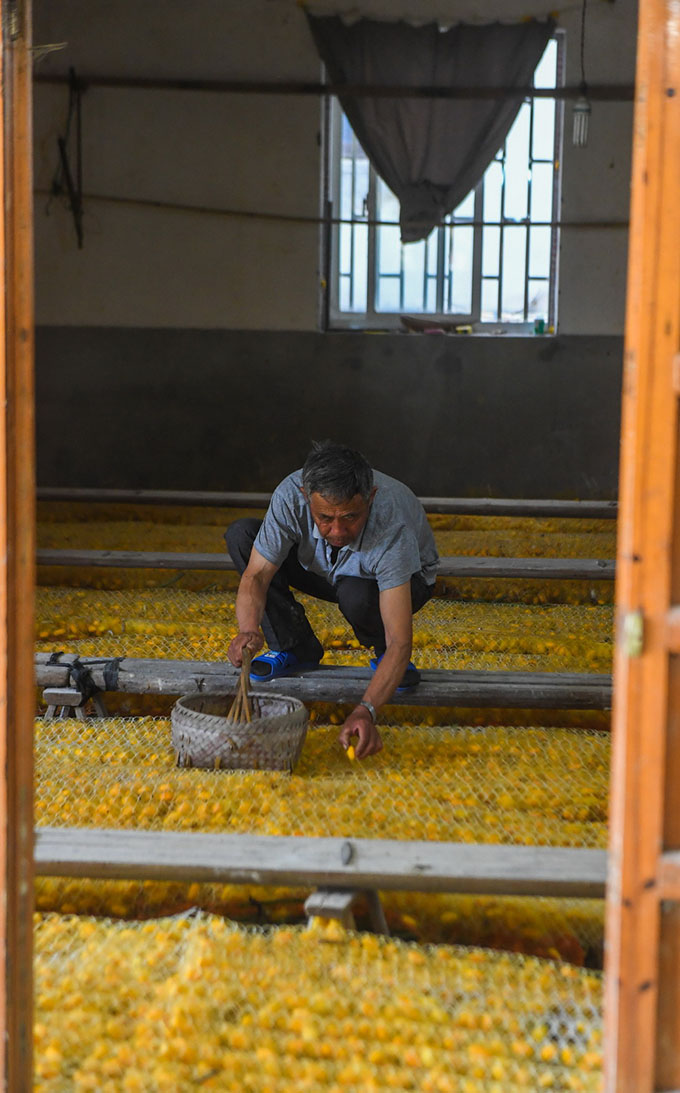 ?????????? ?????? ??????? : ???? ???? ???????? ???? ?????? ??????? ?????? ??????