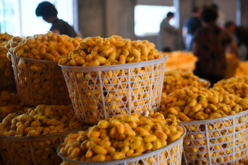 ?????????? ?????? ??????? : ???? ???? ???????? ???? ?????? ??????? ?????? ??????