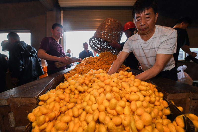 ?????????? ?????? ??????? : ???? ???? ???????? ???? ?????? ??????? ?????? ??????