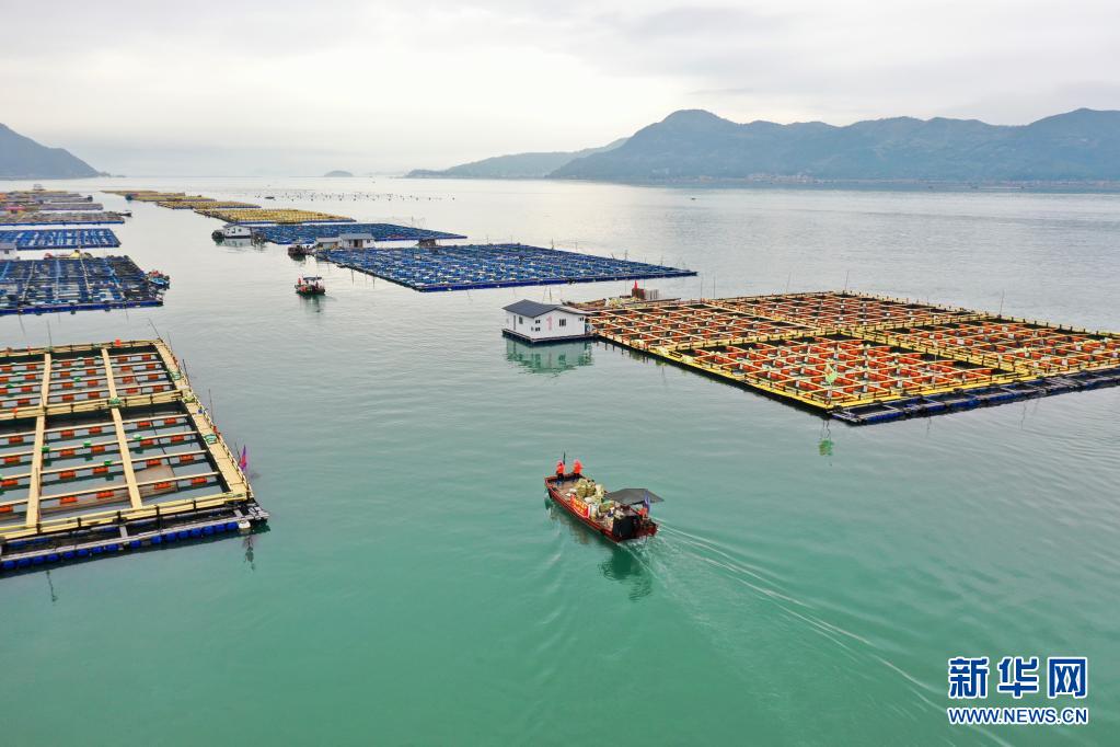 ?????? ???? ???? ?????? ???????? ???????