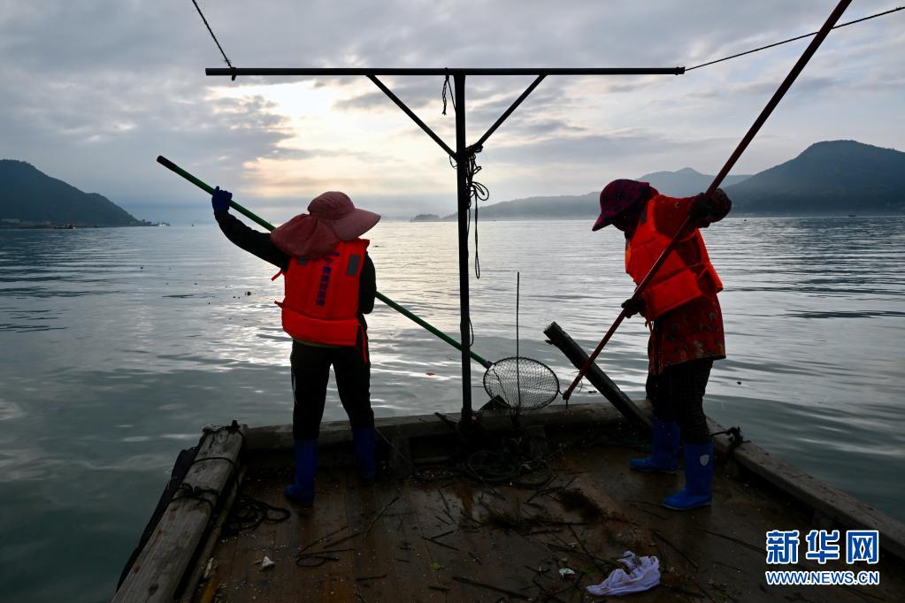 ?????? ???? ???? ?????? ???????? ???????