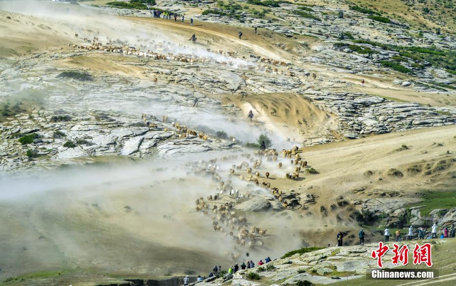 ?????? ????????.. ?????? ?? ???? ??????? ???? ???? ???????? ??? ??????? ???????