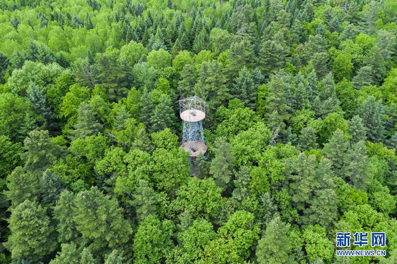 ??? ??? ????? ????? ?????? ??????? ?? ???????????