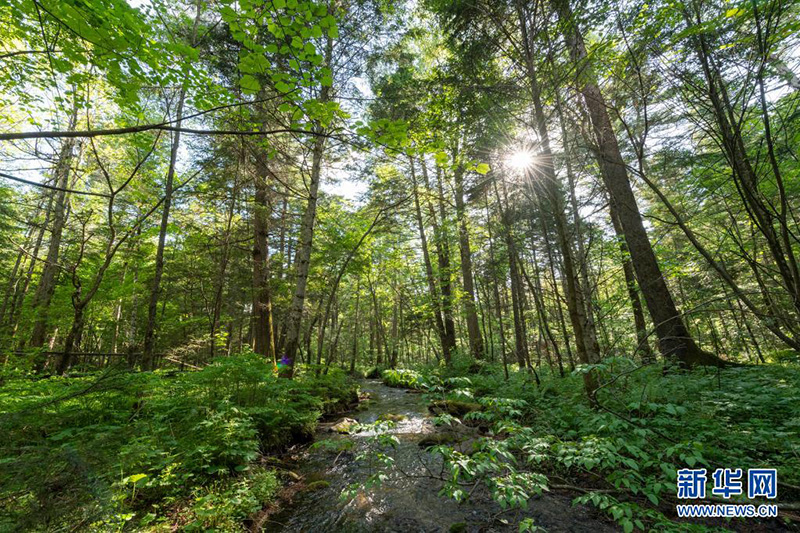 ??? ??? ????? ????? ?????? ??????? ?? ???????????