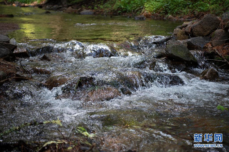 ??? ??? ????? ????? ?????? ??????? ?? ???????????