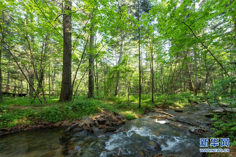 ??? ??? ????? ????? ?????? ??????? ?? ???????????