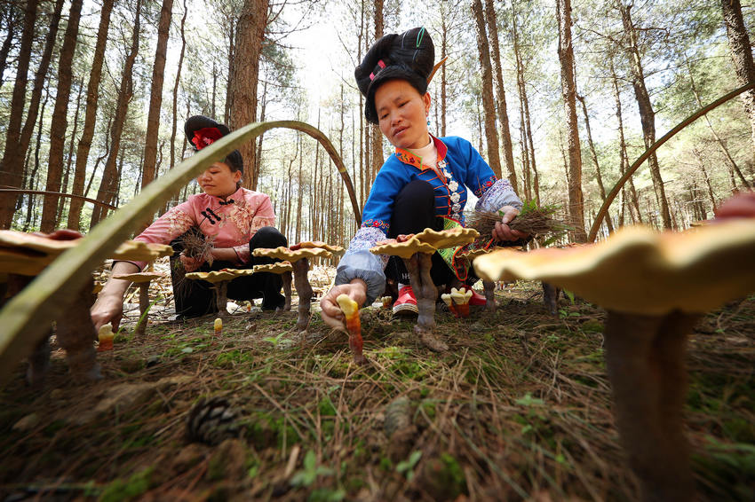 ??????: ????? ??? ?????? ???? ??? ??? ????? ?? ??? ?????????