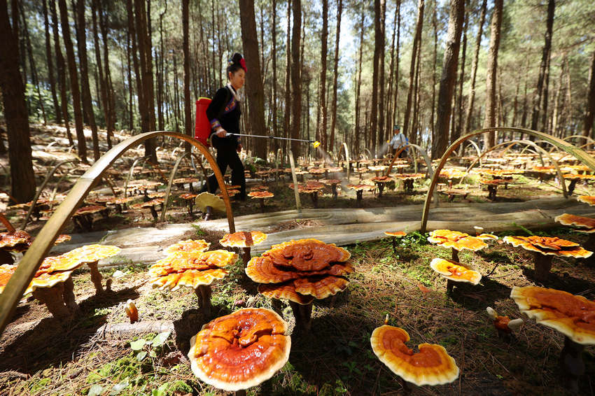 ??????: ????? ??? ?????? ???? ??? ??? ????? ?? ??? ?????????