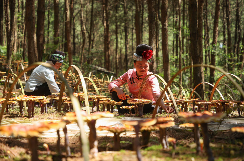 ??????: ????? ??? ?????? ???? ??? ??? ????? ?? ??? ?????????