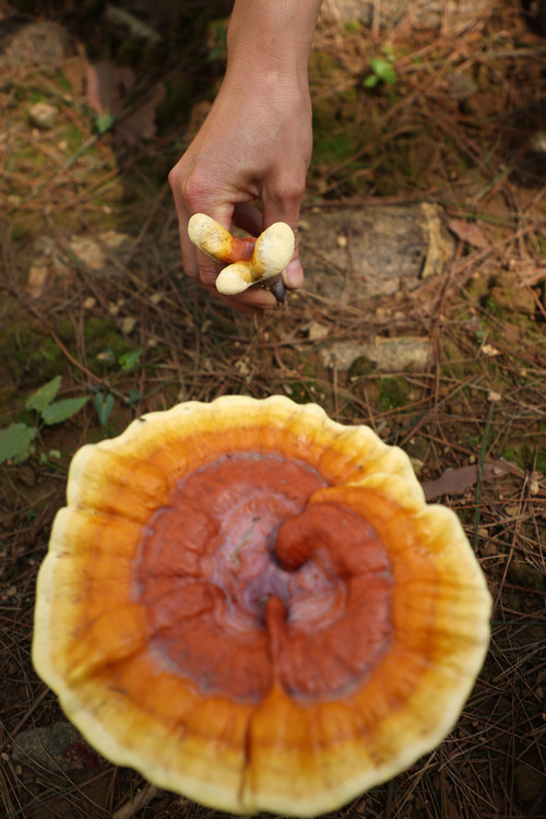 ??????: ????? ??? ?????? ???? ??? ??? ????? ?? ??? ?????????