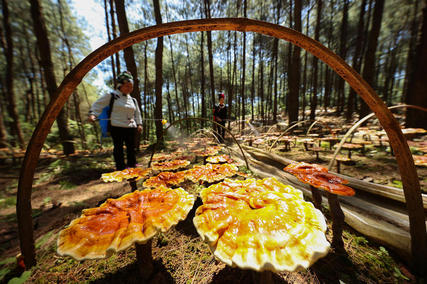 ??????: ????? ??? ?????? ???? ??? ??? ????? ?? ??? ?????????