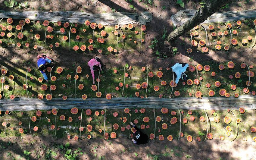 ??????: ????? ??? ?????? ???? ??? ??? ????? ?? ??? ?????????