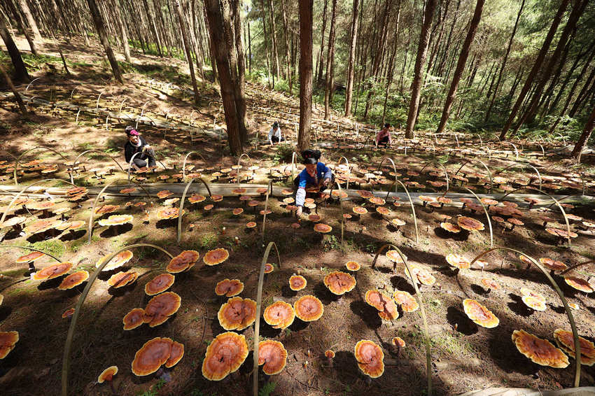 ??????: ????? ??? ?????? ???? ??? ??? ????? ?? ??? ?????????