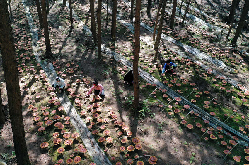 ??????: ????? ??? ?????? ???? ??? ??? ????? ?? ??? ?????????