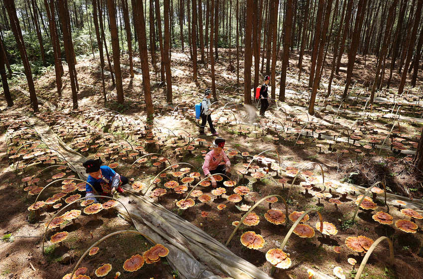 ??????: ????? ??? ?????? ???? ??? ??? ????? ?? ??? ?????????