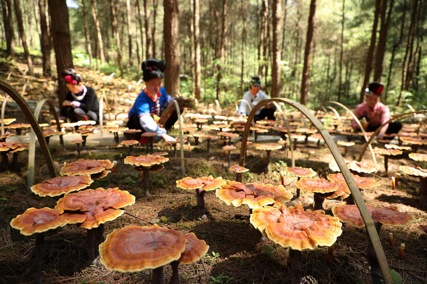 ??????: ????? ??? ?????? ???? ??? ??? ????? ?? ??? ?????????