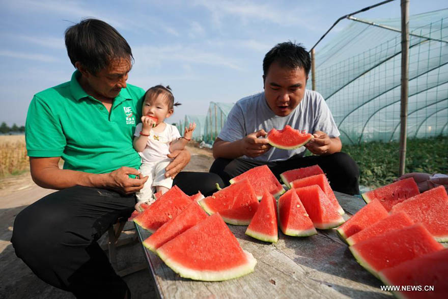 ????? ?????? ???? ???? 