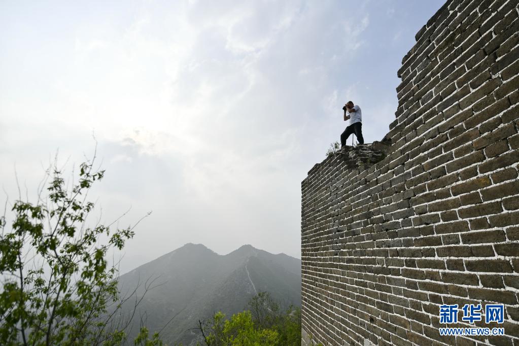 ???? ?????.. ????? ????? ??? ????? ??? ????? ?????? ??36 ????