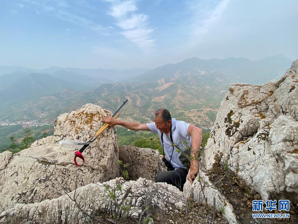 ???? ?????.. ????? ????? ??? ????? ??? ????? ?????? ??36 ????