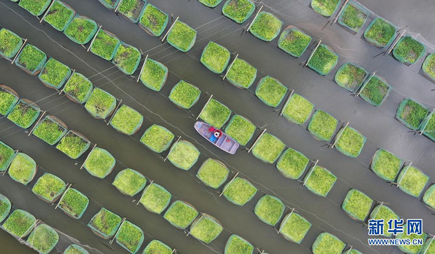 ??????? ??????? ?? ??????? ??????? ?? ????? ??????? ????? ????????? ??? ????? ????? 