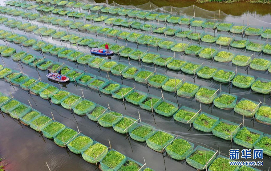 ??????? ??????? ?? ??????? ??????? ?? ????? ??????? ????? ????????? ??? ????? ????? 