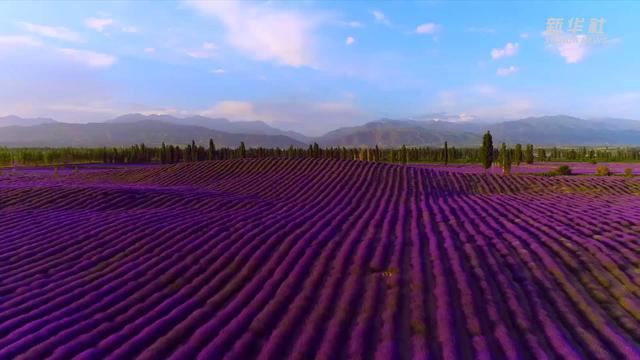 ??? ????? ??????? ?? ?????? ????????? 