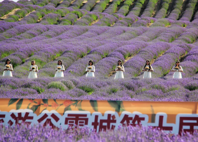 ??? ????? ??????? ?? ?????? ????????? 