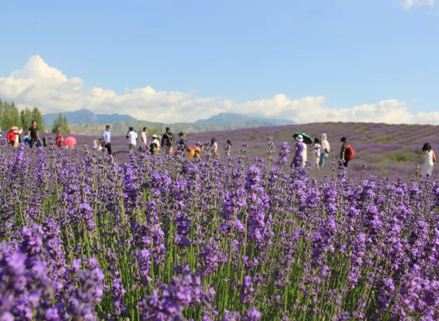 ??? ????? ??????? ?? ?????? ????????? 