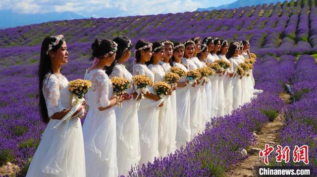 ??? ????? ??????? ?? ?????? ????????? 